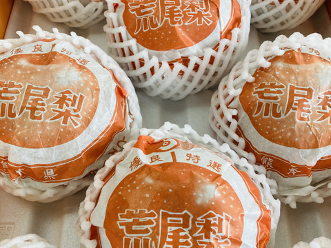【数量限定】見て大きさにビックリ‼️食べて甘さにビックリ‼️✨厳選✨甘熟熊本特産品ジャンボ荒尾梨(新高)5〜6玉(約5kg)