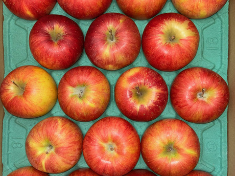 おやつ感覚で！？そのままぱくっと！甘くてジューシー！長野県シナノスイート小玉4.8㎏