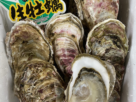 ❄️生食Ok☆厚岸産冬の殻付牡蠣❄️3Lサイズ25個入れ