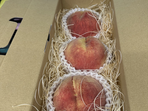 【硬めパリパリ食感のさくら白桃】大人気で緊急追加シャキ桃！自分好みの桃探し本場山梨桃の品種指定キャぺーン☆朝どれ高級もも☆家庭用・ハイセンスな贈り物にぴったり🍑【敬老の日ギフト】9月上旬～発送🍑