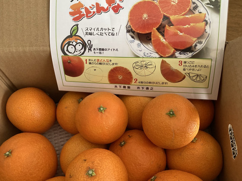 ☆農園1番人気☆ まどんな　家庭用2.5キロ