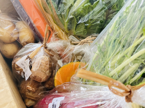 【福袋】日頃の感謝を込めてダンボール80サイズぱんぱんで自然栽培野菜8〜10品目セットのお届けの為箱が変形しているかもしれませんがご了承下さい。