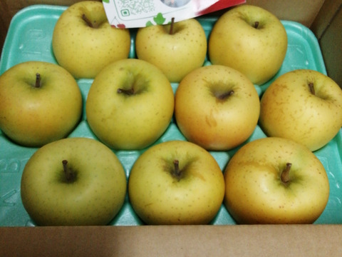 シナノゴールド 3kg 箱入り パリッと爽やか 酸味と甘みの絶妙なバランス  10個 貯蔵でパリパリ お中元 ギフト 誕生日 お祝い フルーツギフト