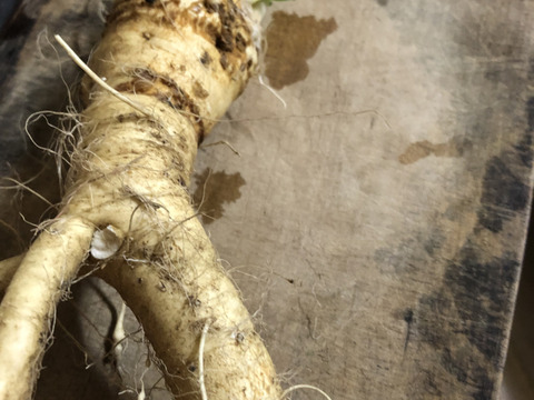 自然栽培山わさび80グラム2パック