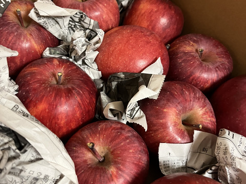 【今だけお買い得！訳あり★50%OFF★】家庭用葉とらずふじりんご10kg【長野県産】