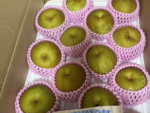 熊本のイチオシ梨！『清流球磨梨』秋麗 約5kg(5〜14個入り)：熊本県産