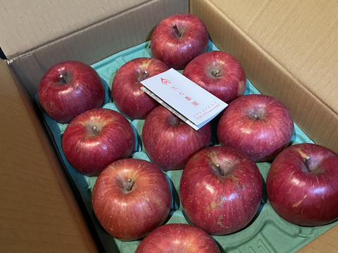 🏆りんごGP金賞受賞🏆【サステナりんご】信州安曇野産サンふじ家庭用3キロ（8~12個）🍎 ※化学合成農薬約60%削減