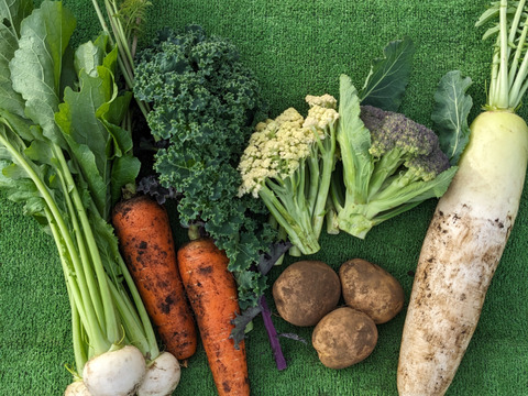 【アワード受賞福袋】有機野菜セット６品