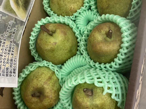 【早出し！100箱限定】 食べ頃ラフランス！ プロが食べ頃まで追熟！ 【 訳あり品 ラフランス！】 約2㎏ ご家庭用やおすそ分けに丁度いい！ R06-01-01