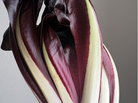 イタリア野菜の王様【タルティーボ】500g