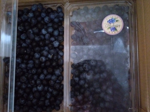 【生食用】🫐【1kg】あま〜い♥生ブルーベリー