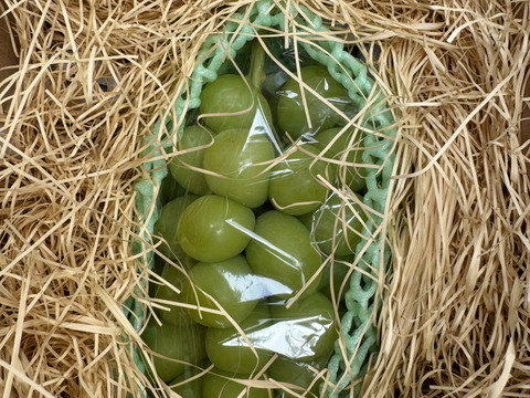 お試しサイズのシャインマスカット