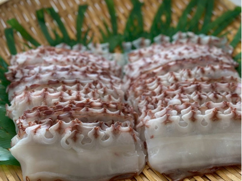 【人気No.１】横型 たこしゃぶ 500g(1～3名様用)