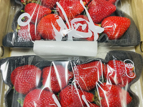 【訳あり】有機JASあまおう　アウトレット280gパック（※8パックまで送料同じ）