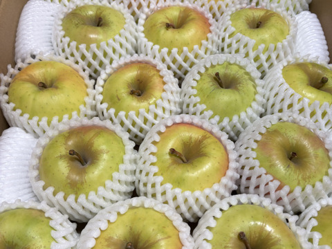 【販売開始！】青森県産りんご「ぐんま名月」家庭用 キズ有 約5kg 【光センサー選果・高リピート率】