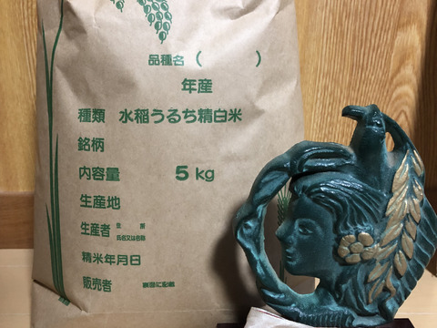 夏限定‼️淡路島産ヒノヒカリ 5kg「精米済」&淡路島産玉ねぎ5kg「オクラ入り」