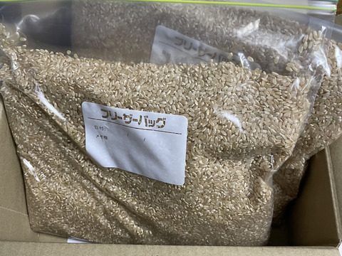 米・穀類🥇１位受賞✨食べチョクAW2023【玄米4kg（2kg×②袋）】一等米✨令和6年産【栽培期間中農薬不使用コシヒカリ】有機質肥料【80】1年間🌱農薬・化学肥料・除草剤・動物性堆肥不使用