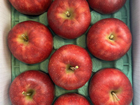 【予約販売】 シャキシャキ ジョナゴールド 約3kg(8～10個)