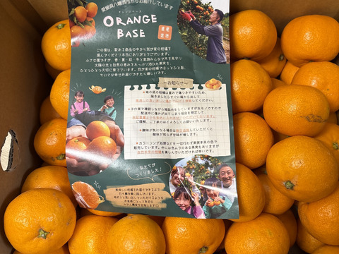 【もう1個だけの無限ループ！】暁みかん5kg（小玉サイズ）【冬ギフト】【愛媛県産】