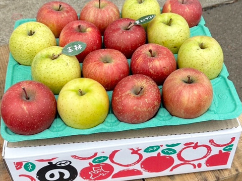 ★大人気★🍎葉とらずふじ🍏王林（家庭用１３～２０玉）約５キロ　ID124974