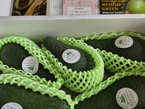 森から生まれた美味しい宝石　瀬戸内アボカド「みとよグリーン」