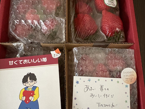 食べ納め やよいひめ こだわりの栽培で味が濃すぎるいちご 群馬県いちご品評会【金賞🥇】受賞280ｇ4パック【遅れてごめん母の日ギフト】