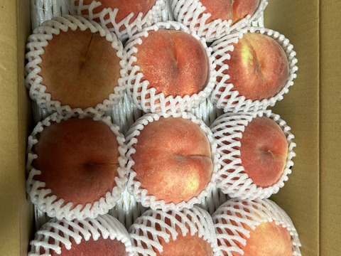 🍑川中島白桃🍑3キロ箱　訳あり家庭用