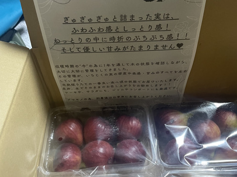 【ファン600人達成割400円off】ギュギュギュッと詰まった魅力フルーツ【いちじく】4パック（本州の方限定）