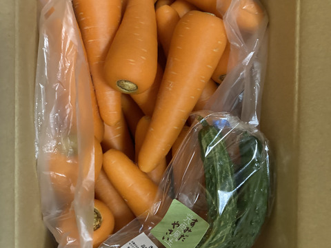 豊かな大地で育った人参(5kg) 農薬化学肥料不使用  旬のお野菜1品オマケ付き