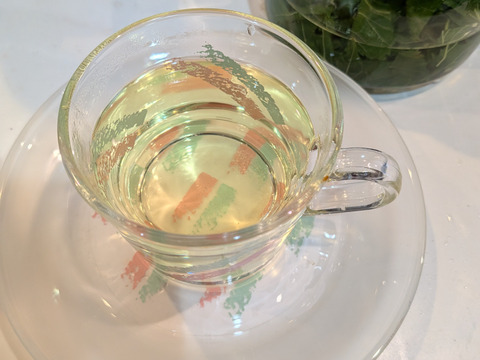 桑の葉🌿30枚🌿桑の葉 生葉🌿特有成分DNJ（1-デオキシノジリマイシン）が食事の糖質分解を抑え食後の血糖値上昇を抑える効果☆採れたてをお届け☆ゆうパック