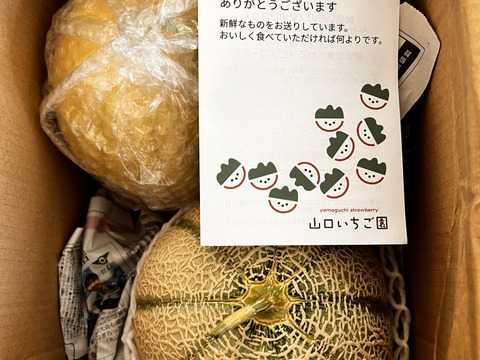 届いてからのお楽しみ甘い小玉スイカとメロンのセット