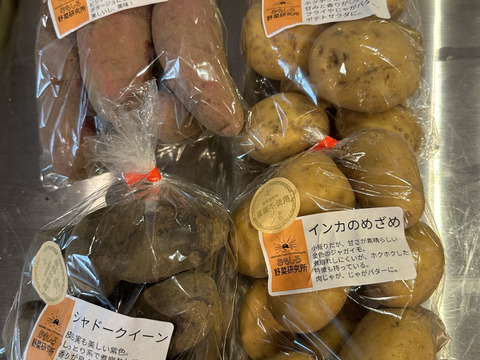 インカのめざめ インカのめざめ - 三浦野菜の宅配・通販｜産地直送「朝採り