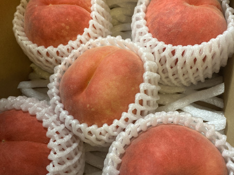 【桃：ゆうぞら】晩成腫の代表！最高の甘味と食味！1.5kg程度（8～4個入り）