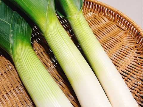 在庫処分セール 言い換え 京都産】リーキ（別名：ポワロ、西洋ネギ）1kg（7～9本 野菜