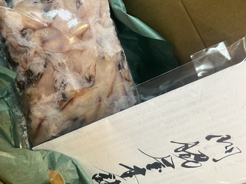 【生食可】ほたるいか/刺身/しゃぶしゃぶ/沖漬け/生き生き高品質/500ｇ前後【冷凍】【特大】
