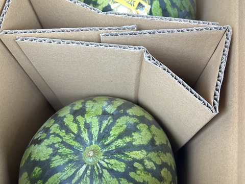 金色羅皇☆丸福すいか（４kg×２玉）