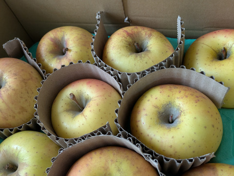 【希少種】【あまみつき】（2kg・9～10個入り）パリ甘・ジューシーお得な家庭用