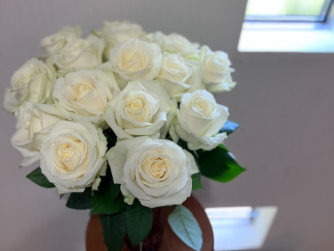 母の日過ぎてもいいよ～で＋3本！5/13〜5/31お届け【クリーミーホワイト15本】【母の日ギフト】【メッセージカード付き】