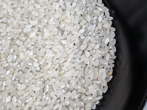 会津米　コシヒカリ　中米　5㎏　（白米）