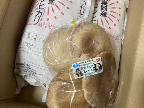 【令和７年産】　 新潟県産コシヒカリ  とっても美味い精米（１０㎏）