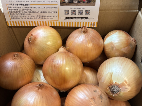 【お陰様でリピーター様多数！】淡路島玉ねぎ「中生種」５kg　特別栽培　ひょうご安心ブランド認証取得