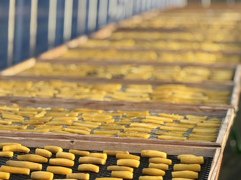 【400g】丸干し｜農薬不使用・完全天日干し