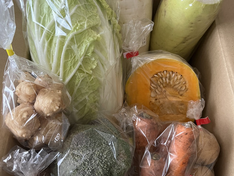 ♪野菜好き♪『農薬、化学肥料不使用』【3~4人前】季節の野菜Mセット（10-11品）「群馬県高崎市産」