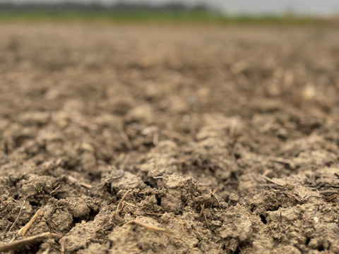 【令和7年産新米】【希少米】南魚沼塩沢産コシヒカリ＜yusui＞5kg（精米）