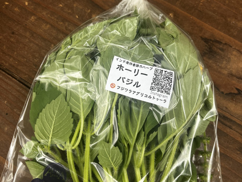 有機JAS認証☆採れたておまかせ野菜セット☆彡10～12品