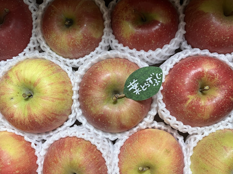 【冬ギフト】 🍎《家庭用》青森完熟葉とらずふじ８〜１５玉(約３kg)🍎ID119812