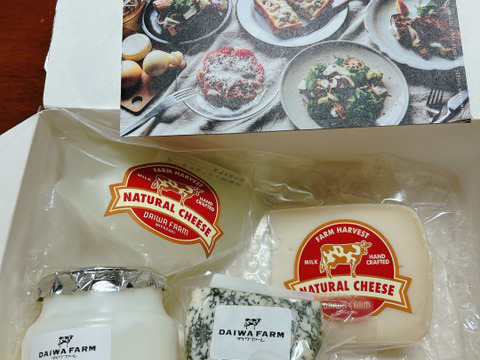 【チーズの福袋】3000円福袋　チーズ好きに贈る。ファームのおまかせチーズ5種BOX