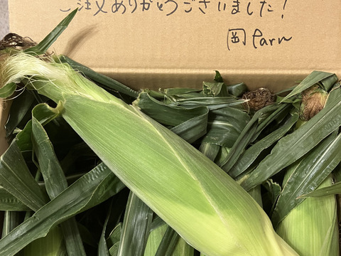 白と黄色のとうもろこし食べ比べセット🌽5本ずつ［合計10本］