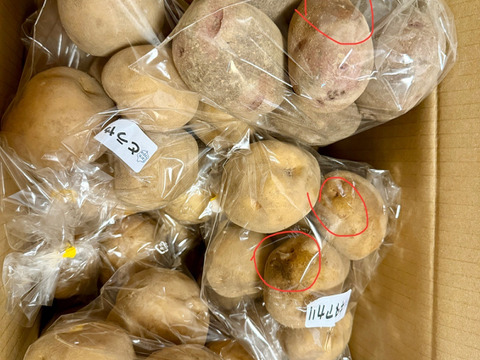 北海道蘭越産じゃがいも　食べ比べ5種類セット(各800g5種類☓各２袋）