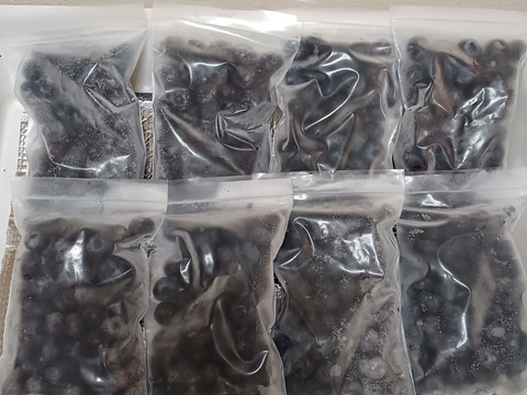 冷凍ブルーベリー『1.6キロ』（200㌘×8袋）ミックス『15ミリ以上』でのお届けです！暑い夏、アイス替わりにどうぞ🍦

尚、大粒から出荷しておりますので、リピートのお客様へ、前回より小粒かも😅